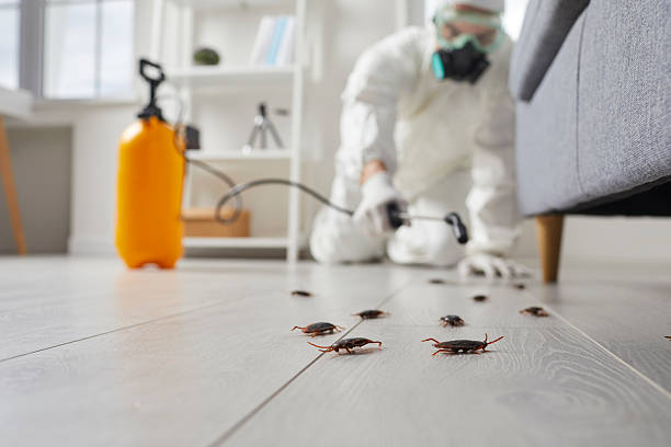 Post-Treatment Bed Bug Interceptor Monitoring in Brackenridge