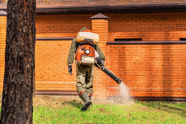 Bed Bug Clearance Verification and Documentation in Brackenridge